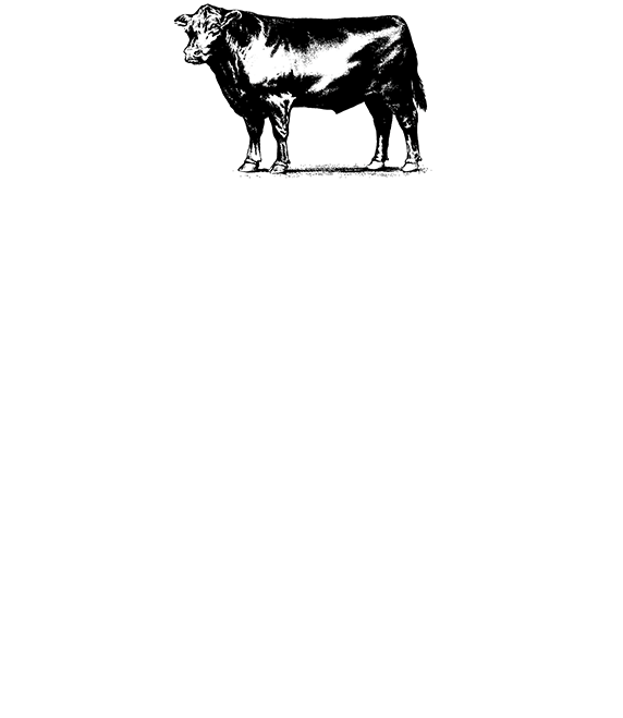 Copper Creek Cattle Company Logo